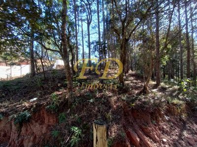 Terreno, 2410 m² - Foto 4