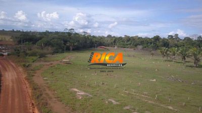 Fazenda, 175 hectares - Foto 2
