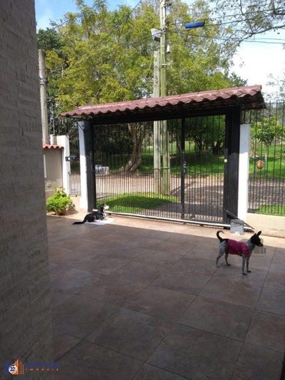 Casa, 4 quartos, 330 m² - Foto 1