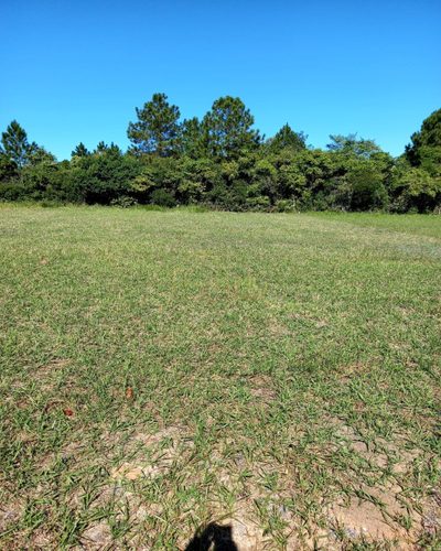 Terreno, 414 m² - Foto 5