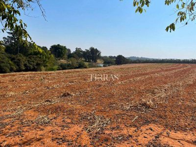 Terreno, 26 hectares - Foto 3