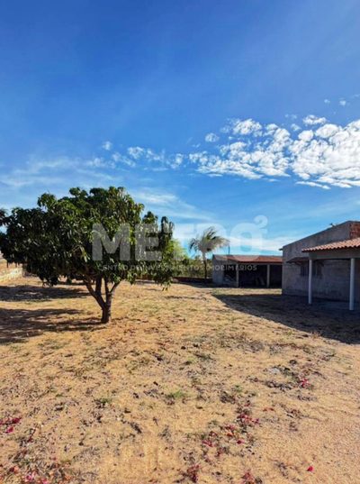 Sítio, 3 quartos, 4000 m² - Foto 2