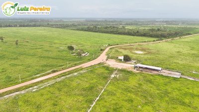 Terreno, 10000 m² - Foto 2