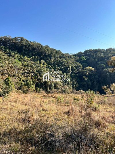 Terreno, 7 hectares - Foto 4
