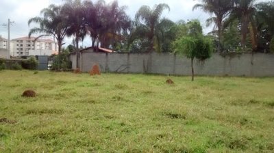 Terreno, 5 hectares - Foto 4