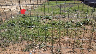 Terreno, 250 m² - Foto 5