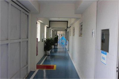 Prédio Inteiro, 2437 m² - Foto 3