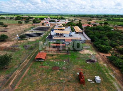 Fazenda - Foto 3