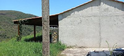 Fazenda, 72 hectares - Foto 5