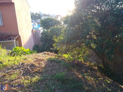 Terreno, 247 m² - Foto 5