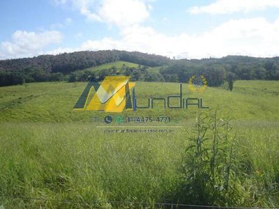 Terreno, 19 hectares - Foto 4
