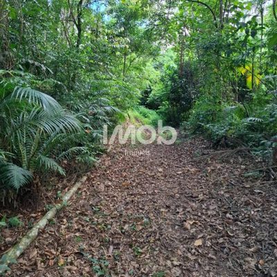 Chácara, 5 hectares - Foto 4
