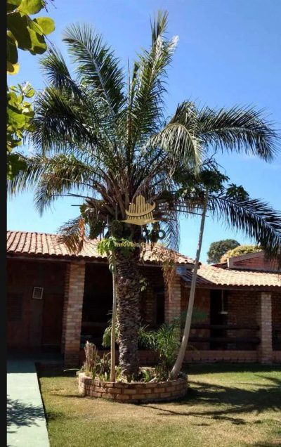 Fazenda, 4000 m² - Foto 2
