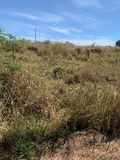 Fazenda, 1 quarto - Foto 5