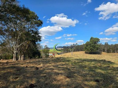 Terreno, 180 hectares - Foto 1