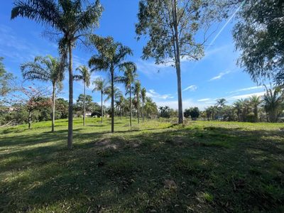 Terreno, 2 hectares - Foto 3