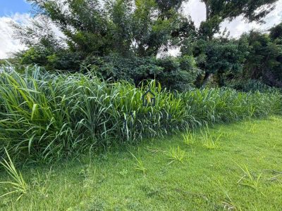 Terreno, 360 m² - Foto 1