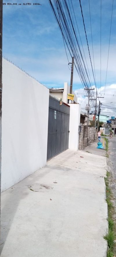 Depósito-Galpão, 400 m² - Foto 4
