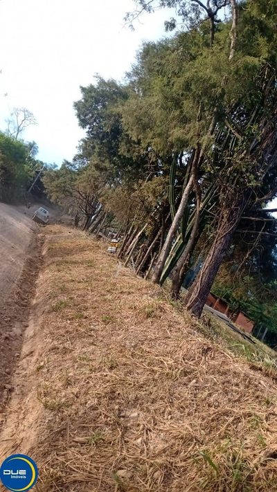 Terreno, 2100 m² - Foto 2