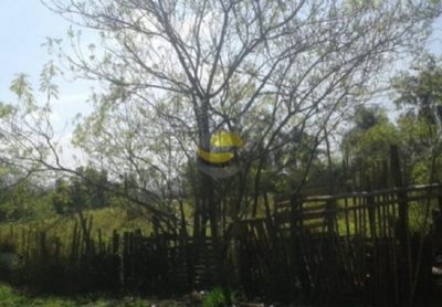 Terreno, 10000 m² - Foto 5