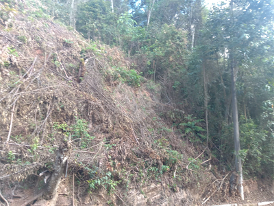 Casa de Condomínio - Foto 2