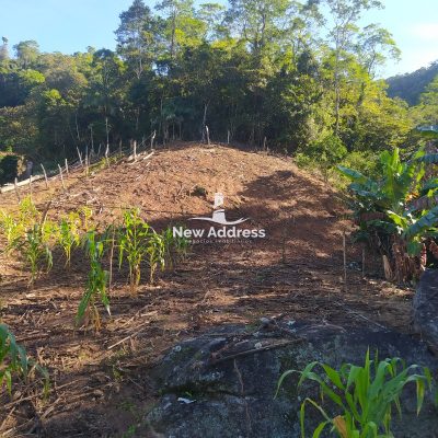 Terreno, 13 hectares - Foto 3