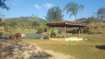 Terreno, 64 hectares - Foto 5