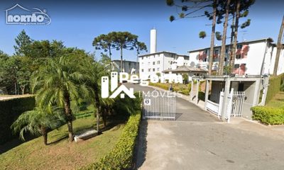 Casa, 3 quartos, 45 m² - Foto 2