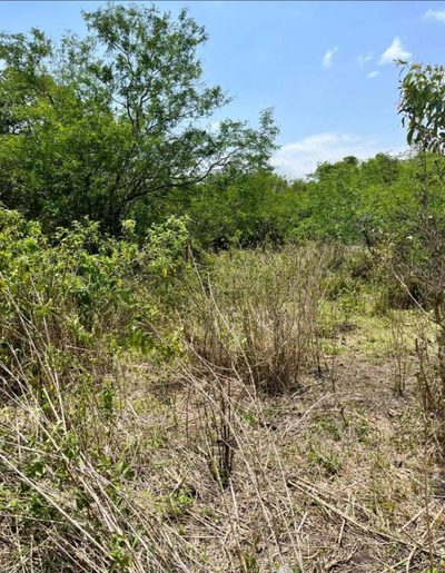 Terreno, 1 hectares - Foto 3