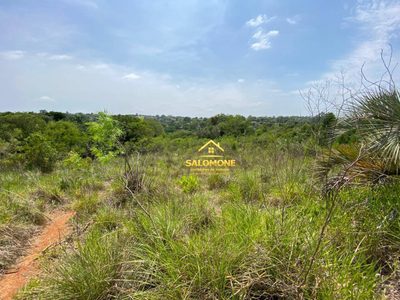 Terreno, 4 hectares - Foto 4