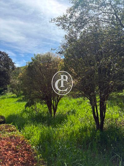 Fazenda, 84 m² - Foto 4