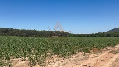 Fazenda, 44 hectares - Foto 1