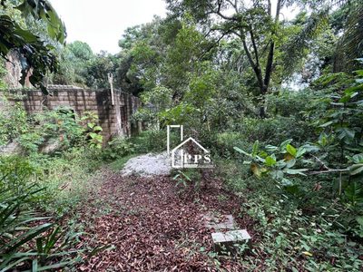 Chácara, 2 quartos, 4000 m² - Foto 3