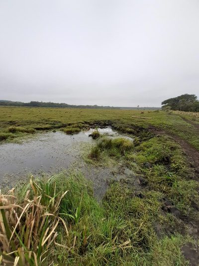 Fazenda, 20 hectares - Foto 3