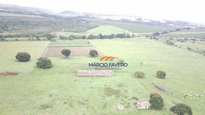 Fazenda, 135 hectares - Foto 3