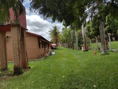 Casa, 4 quartos, 10000 m² - Foto 5