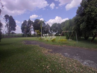 Chácara, 4 quartos, 6343 m² - Foto 3