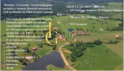 Terreno, 10 hectares - Foto 1