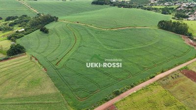 Fazenda, 126 hectares - Foto 2