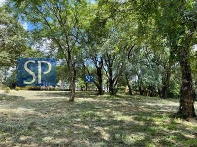 Terreno, 3360 m² - Foto 4