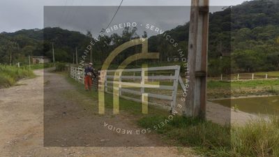 Chácara, 2 quartos, 4160 m² - Foto 3