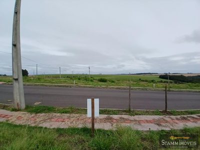 Terreno, 175 m² - Foto 5