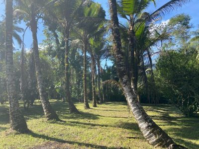 Terreno, 2 hectares - Foto 1
