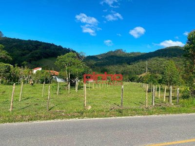 Terreno, 8000 m² - Foto 4