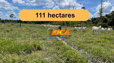 Fazenda, 111 hectares - Foto 1