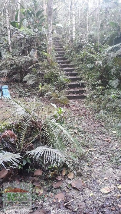 Terreno, 12 hectares - Foto 4