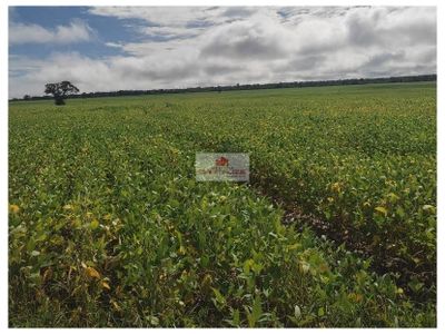 Fazenda, 2400 m² - Foto 5