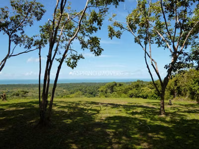 Fazenda, 2 hectares - Foto 1