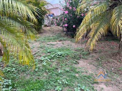 Casa, 3 quartos, 240 m² - Foto 5