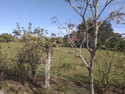 Terreno, 2000 m² - Foto 2